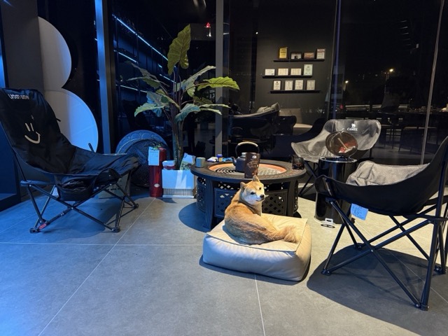 WUJI客户休息区-露营椅围炉煮茶-柴犬-义乌汽车音响俱乐部